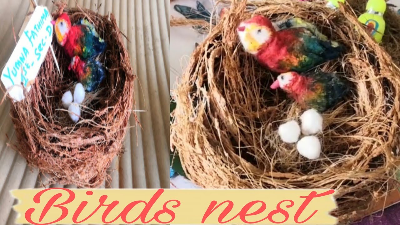Birds Nest/Making Birds Nest At Home/cotton Birds/My baby's Project