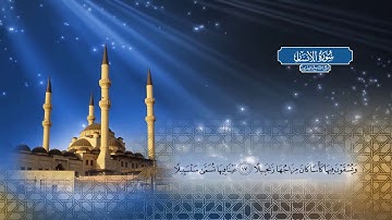 سورة الإنسان | بصوت الشيخ أحمد محمد الطاهر