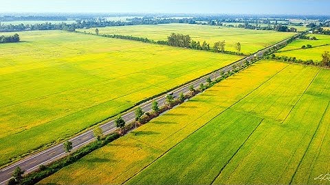 Hậu Giang | Buổi sáng trên đường nối Vị Thanh - Cần Thơ (QL61C)