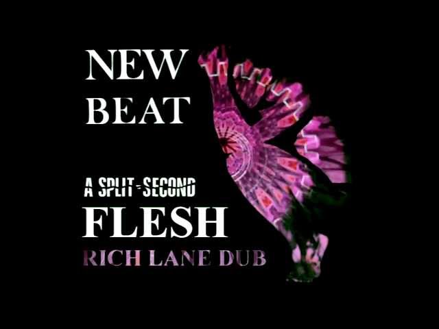 Rich Lane - Flesh (Dub)