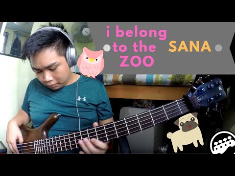 i-belong-to-the-zoo-bass-x-tabs