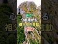 ㊗️20万再生🎊孫が心底嫌がる祖父母の言動 #知恵 #名言 #開運 #雑学 #シニア