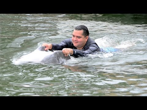 Magic in the Water: Dolphins provide special type of healing for Veterans