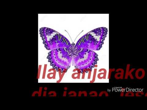 ANJARA HO AHY