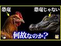 【ゆっくり解説】鳥が恐竜の子孫で、ワニが恐竜の子孫ではない理由を解説/進化の分岐から見る鳥とワニ、トカゲやヘビの違い