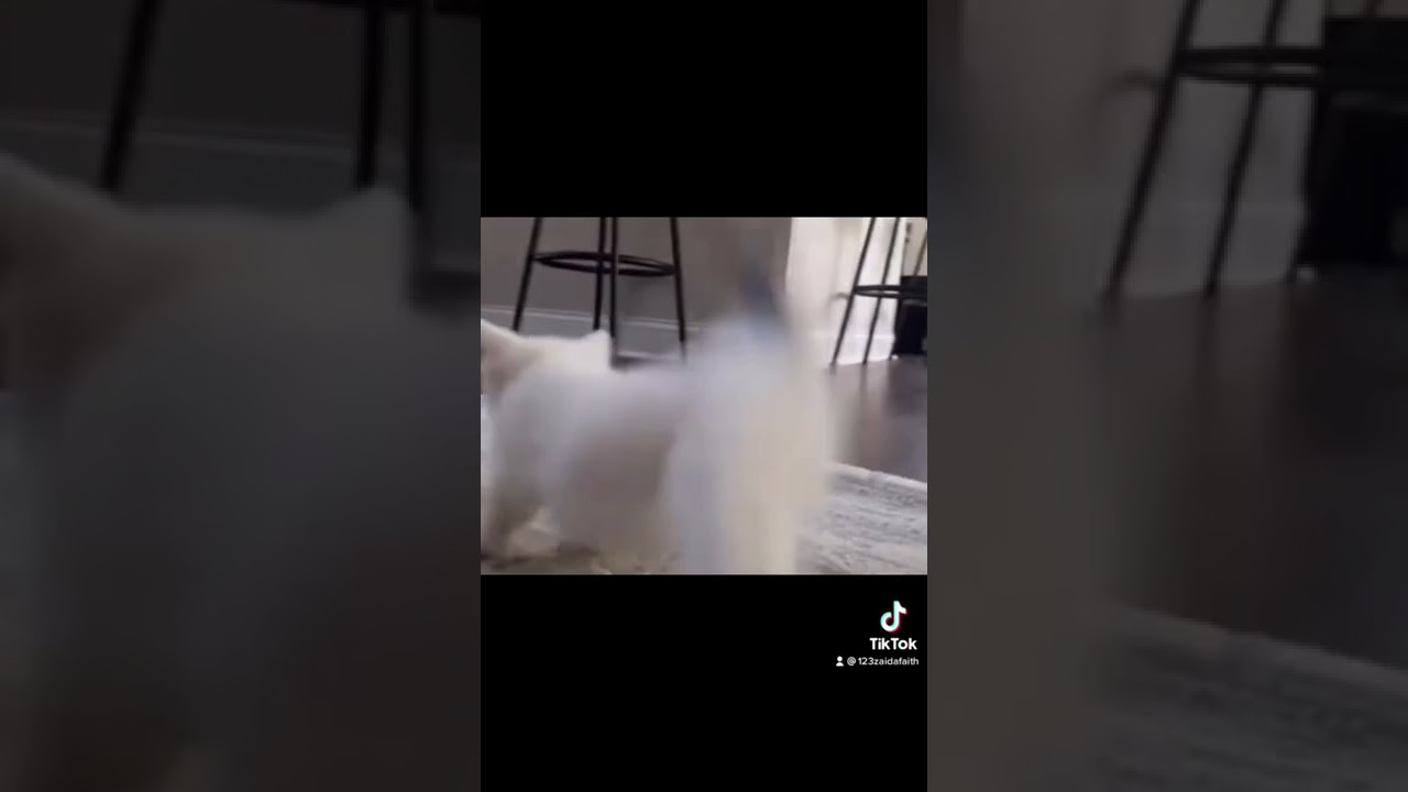 My mom said I’m not allowed to burn trash *gun ready* dun dun dududdndududundudn