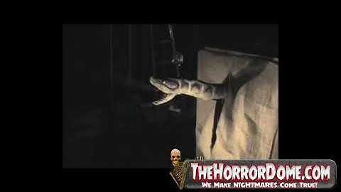 Attack Spitting Crate Snake - TheHorrorDome.com