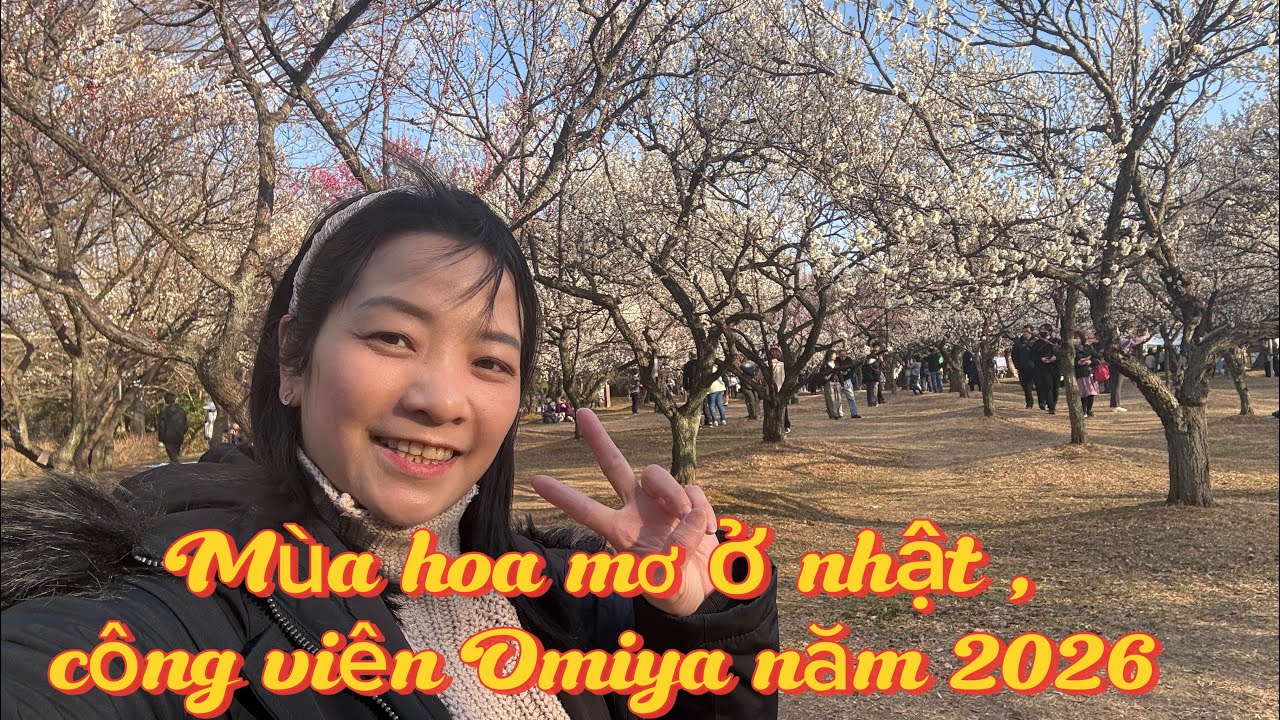 🌸 Mùa hoa mơ ở nhật , công viên Omiya năm 2026