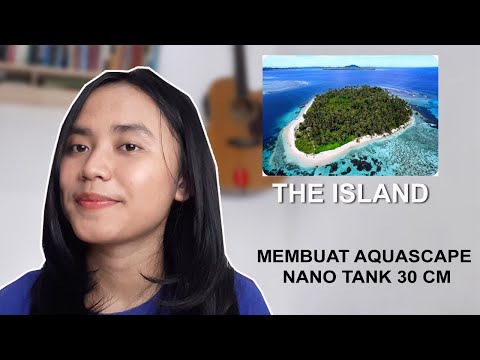 nano-tank-30-cm-aquascape-dengan-tema-"the-island"-by-trifena-margaretha
