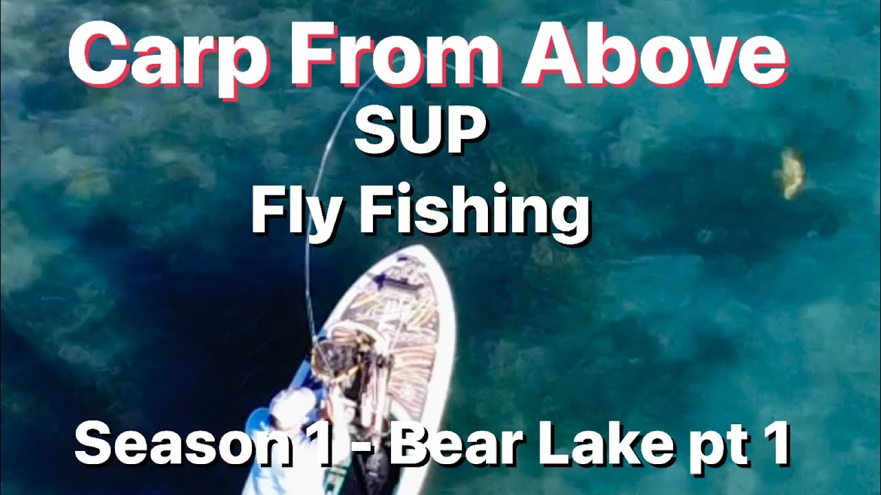 How to Fly Fish for Carp Bear Lake on a SUP YouTube