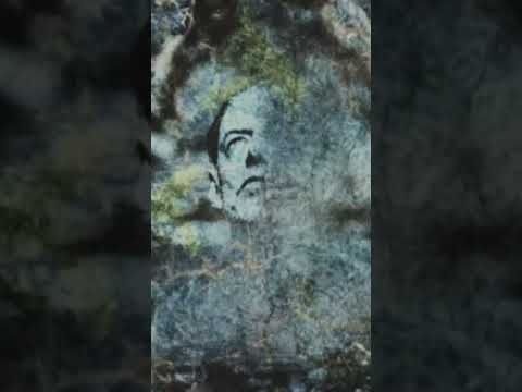 Ed O'Brien - Blue Morpho