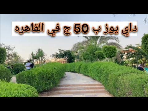 داي يوز كامل ب50 جنيه ليك انت وعيلتك المكان ده طلع مفاجأة في قلب القاهرة