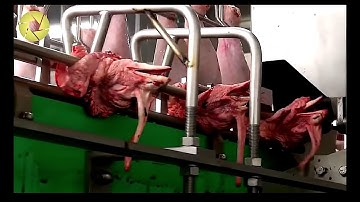 Inside The Meat Factory | Incredible Process Worth Watching | Poultry Processing Plant