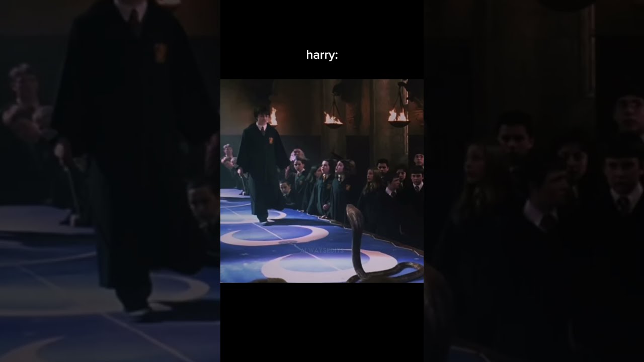 I Had To Make S Video Of This Edit Harrypotter