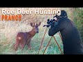 Roe Deer Hunting in France - 2020