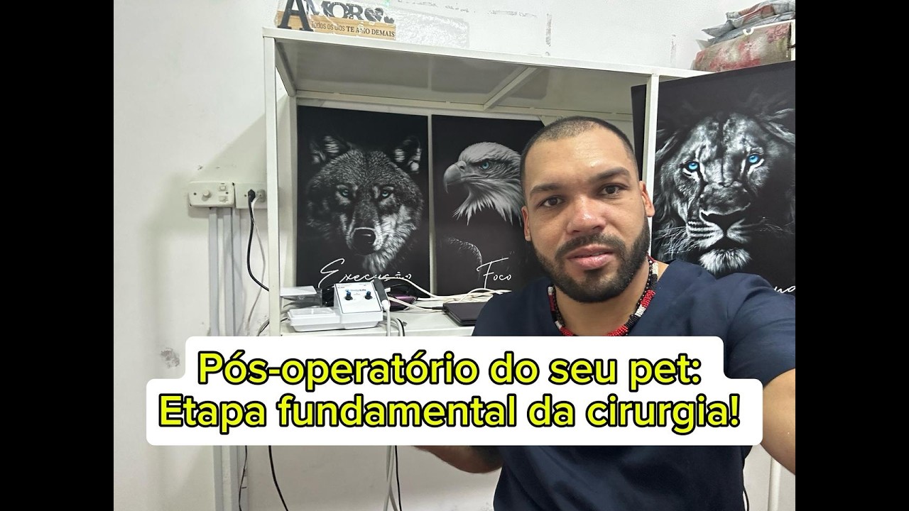 Pós-operatório sem complicações: guia essencial para tutores depois da cirurgia