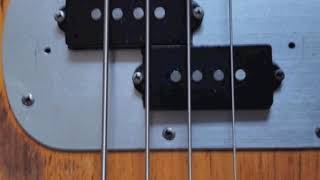 Wah Funk - Joe Gross