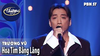 HOA TÍM BẰNG LĂNG