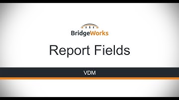 VDM - Report Fields