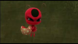 TIKKI FINISH YOUR MACAROON!  and GET LOST LITTLE BUTTERFLY!