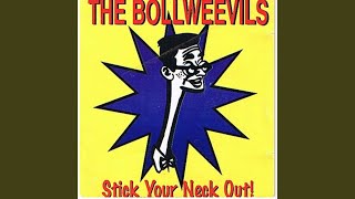 Watch Bollweevils The Best Narcissist video
