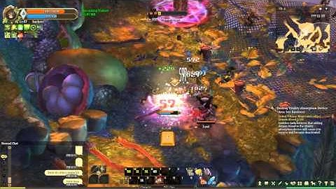 [Tree of Savior] Pre-Dragoon