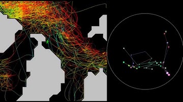 Extinction: An Experiment in Evolution Simulation