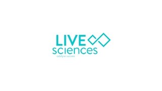 Catalyse Success with LIVEsciences Resimi
