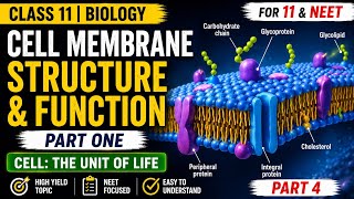 Cell Membrane Structure &amp; Function | Class 11 Biology NEET 2026 -27 | Part 4 | suhail sir 