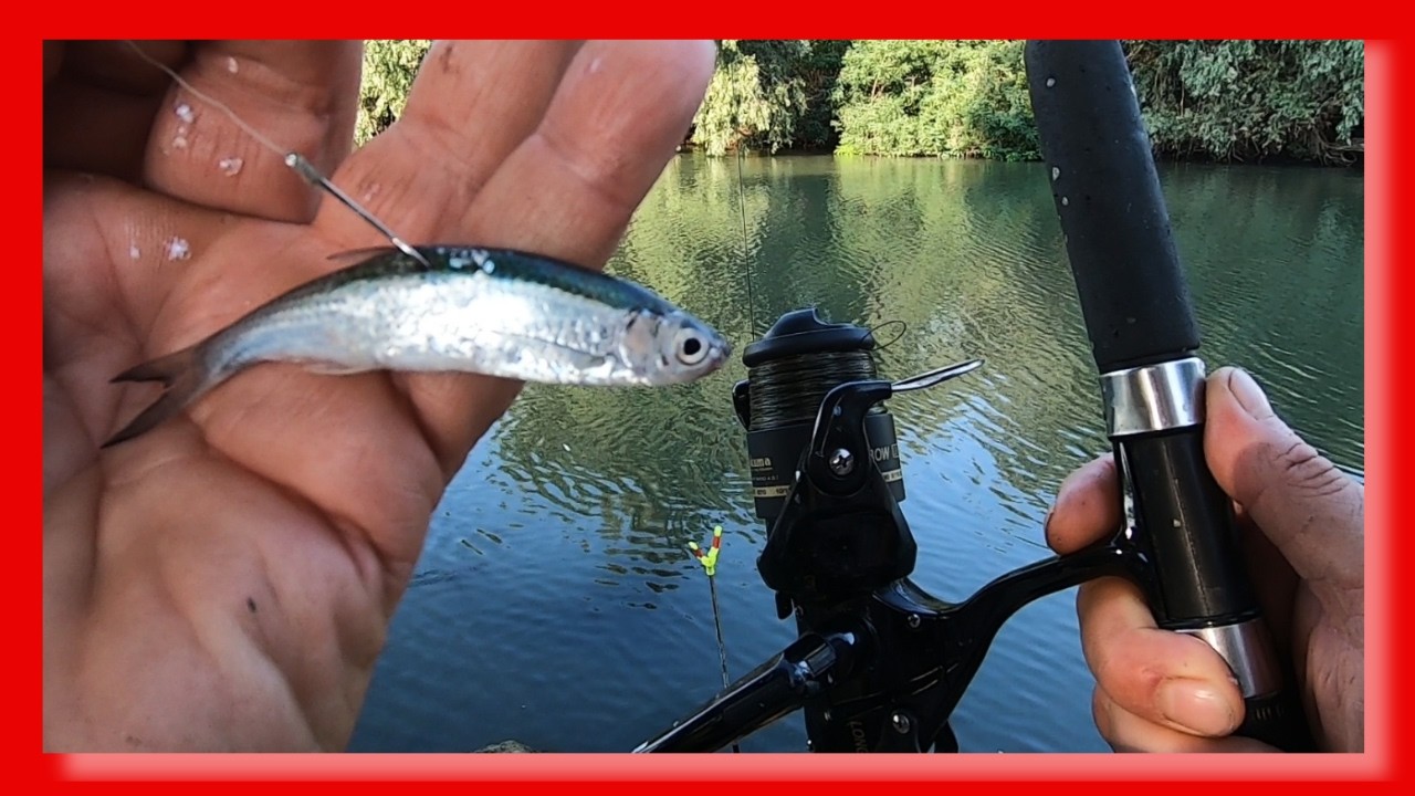 Pescuit pe LOCUL MINUNAT din DELTA DUNARII ✨