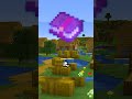 The PROBLEM with Minecraft Multiplayer