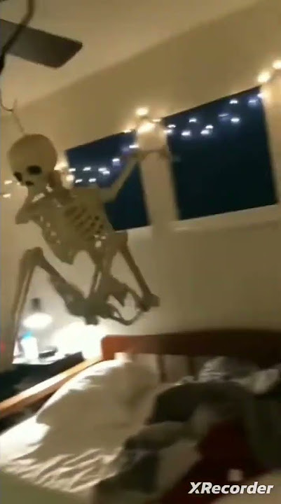 skeleton on  fan meme