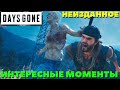 Days Gone(Жизнь После) - Неизданное! Интересные моменты!