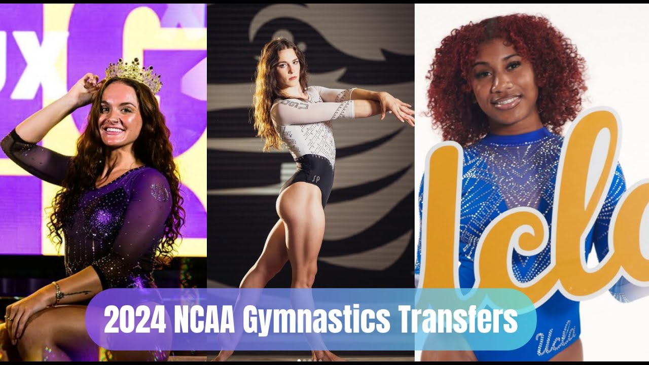 2024 NCAA Gymnastics Transfers YouTube