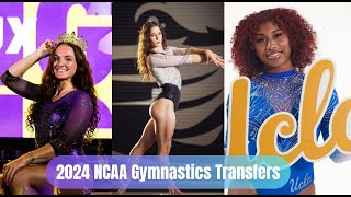 2024 NCAA Gymnastics Transfers