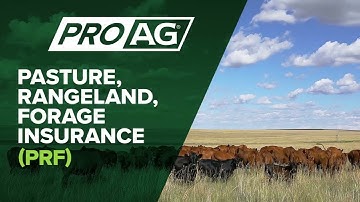 Breaking Down the Basics of Pasture, Rangeland, Forage (PRF) Insurance in 30 Seconds
