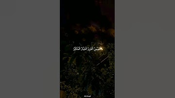 هُوَ اللَّهُ الَّذِي لَا إِلَٰهَ إِلَّا هُوَالْمَلِكُ الْقُدُّوسُ السَّلَامُ || القارئ فارس عباد