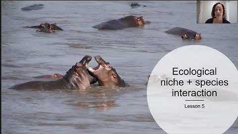 Ecological niche and species interaction (Part 1)