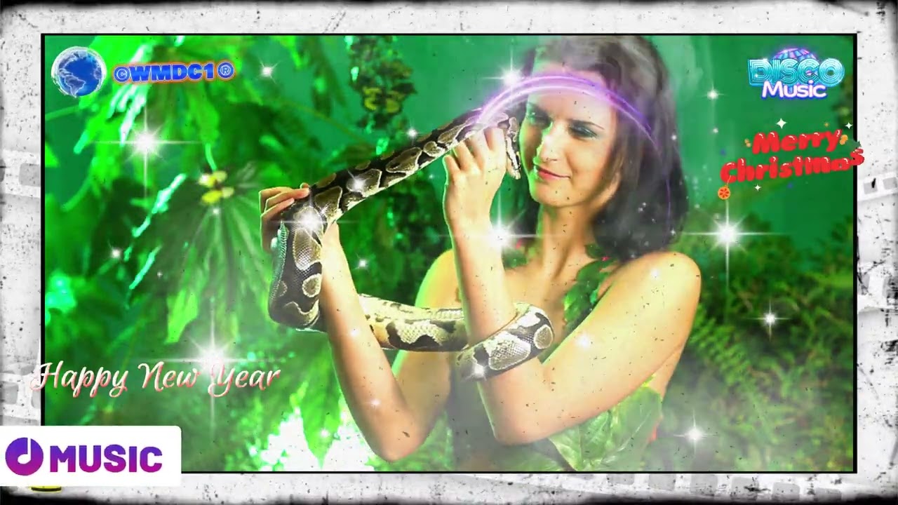 Merry Christmas! Marina i kompanija tumani ! © 2025 © WMDC N1 ® 2025 © World Music Disco Conveyor1 ®