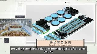 We are Kingto — Specialists in Smart RAS Solutions for Sustainable Aquaculture