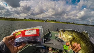 Exploring A New Lake In Central Florida, Fall Bass Fishing (Eagle Lake, FL)
