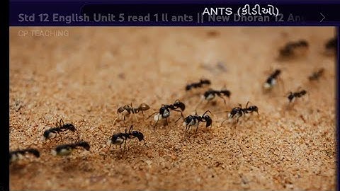 Std 12 English Unit 5 read 1 ll ants || New Dhoran 12 Angreji Path 5 ll dhoran 12 unit 5