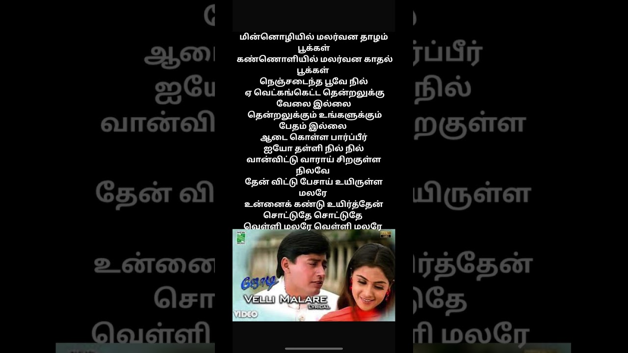 Velli Malare Official | Jodi (1999) | A.R. Rahman | Prashanth | Simram | Vairamuthu | Full HD |