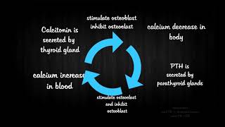 Minerals And Bone Metabolism