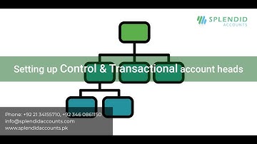 Setting up Control and Transactional account heads in Splendid Accounts