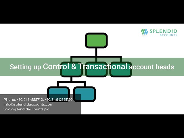 Setting up Control and Transactional account heads in Splendid Accounts