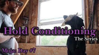 Hold Conditioning Moja | Ep: #7