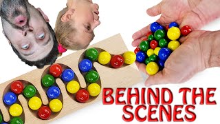 Marble Run Race ASMR ☆ HABA Slope, Dump Truck & Garbage Truck | BEHIND THE SCENES