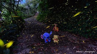 苗栗南庄桐花季\/螢火蟲\/星軌 三個願望一次滿足 (攝影\/空拍\/縮時)