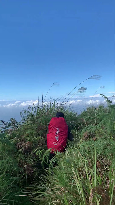 Awannya Depan Mata #rinjani #pendakigunung #pendaki #areioutdoorgear #gunung